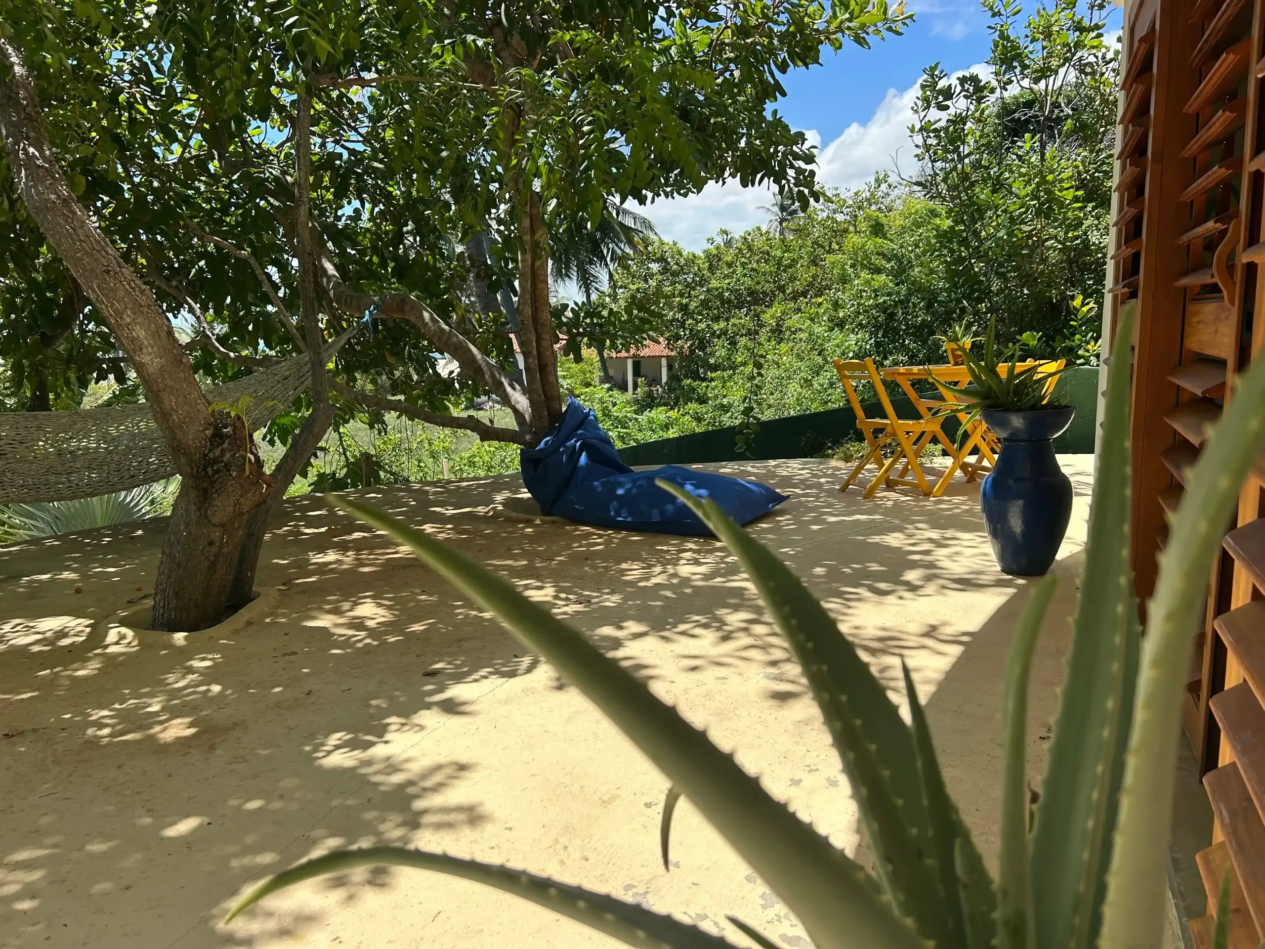IMG_0295-optimized