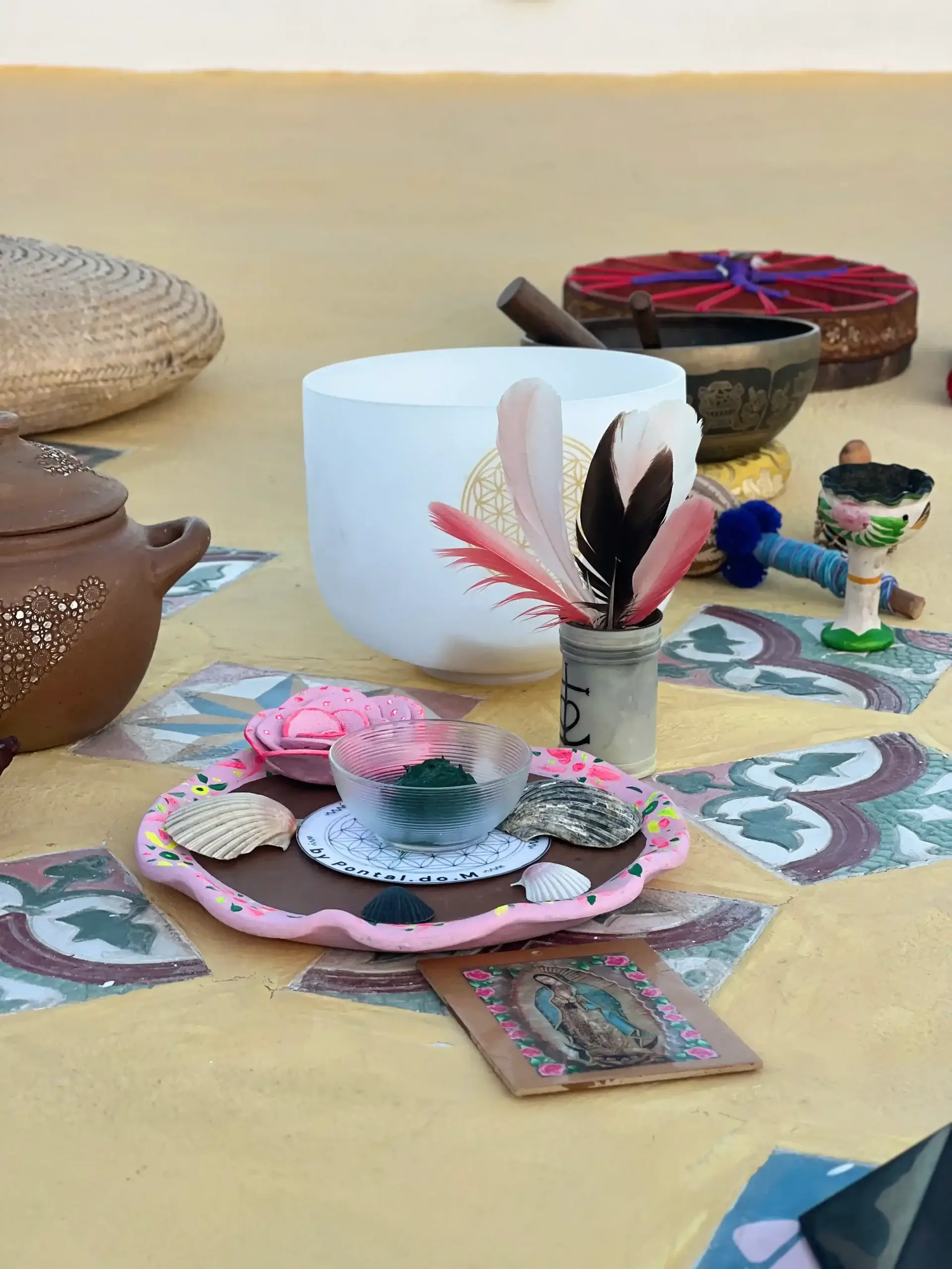 spiru, activité, cacao, séjours, acceuil