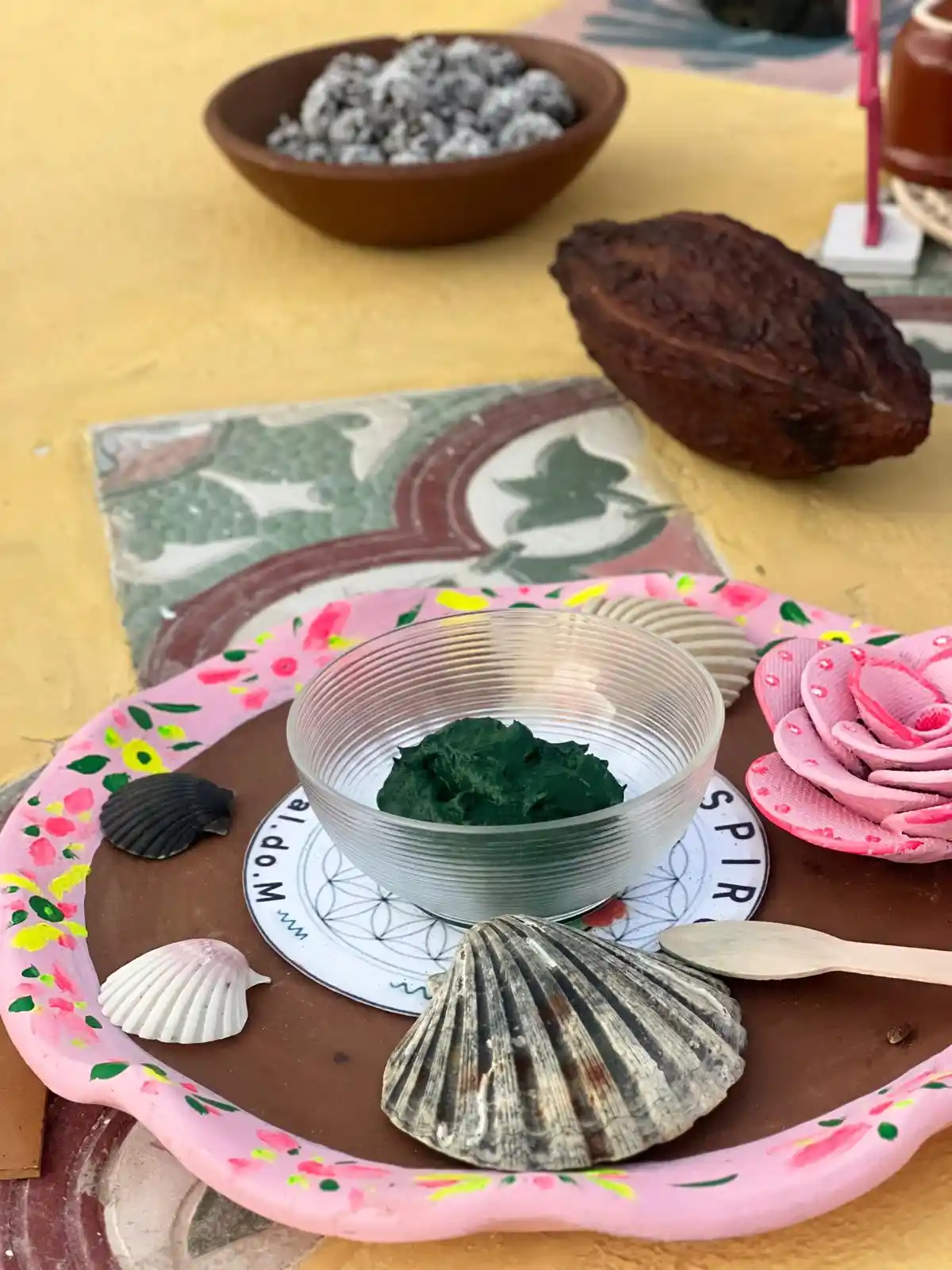 spiruline ; cacao; activité ; acceuil